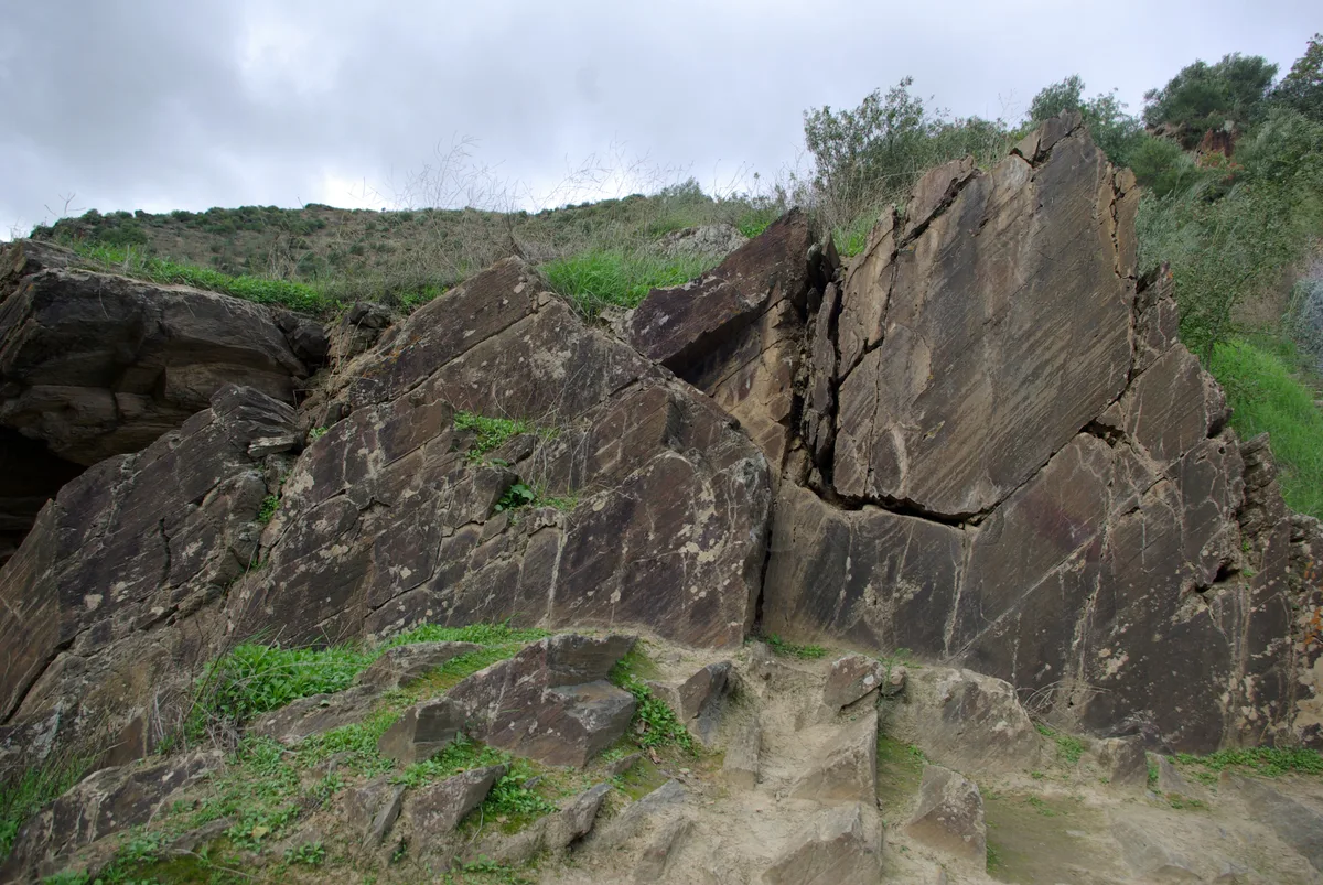 Palaeolithic rock engravings in the Côa Valley, Portugal — multiple overlapping figures incised into schist rock face